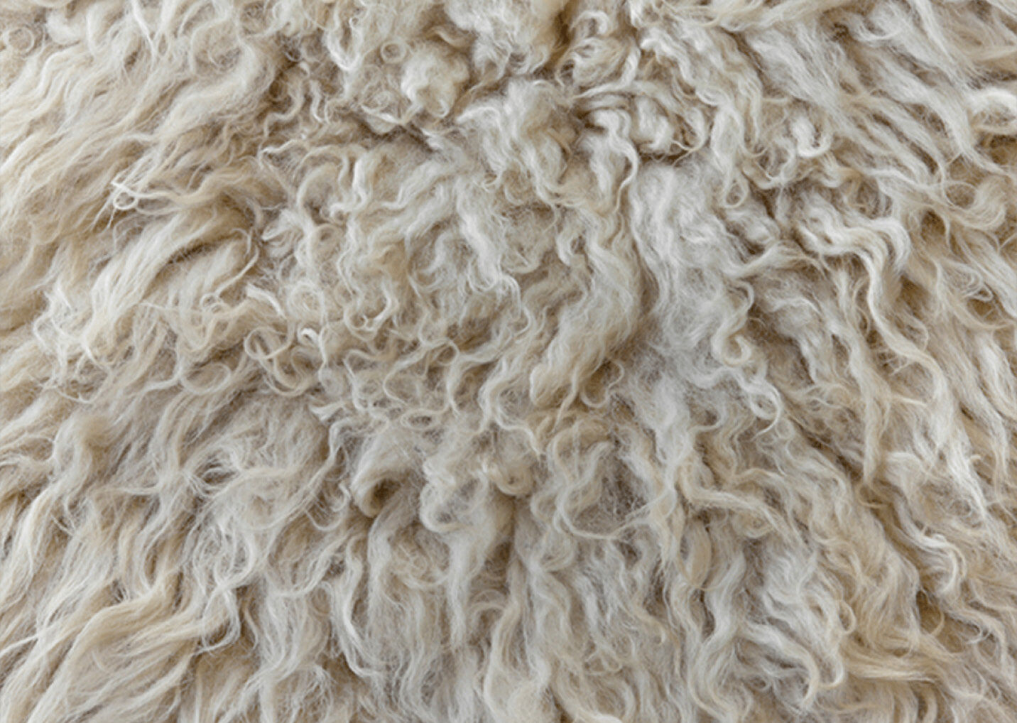 HOW DO WE ENSURE OUR CLAIMS ARE ACCURATE?  